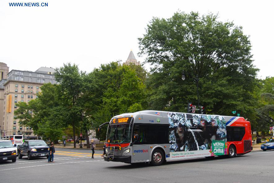 Buses with images of 6 endangered animals of China drive in US