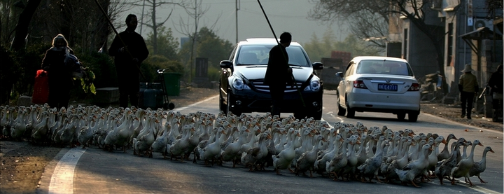 Capturing how cars changing China