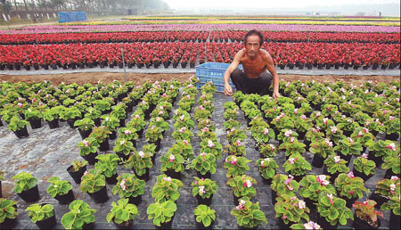 Flower power sees Tian'anmen blossom