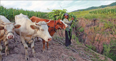 Bountiful land faces barren future