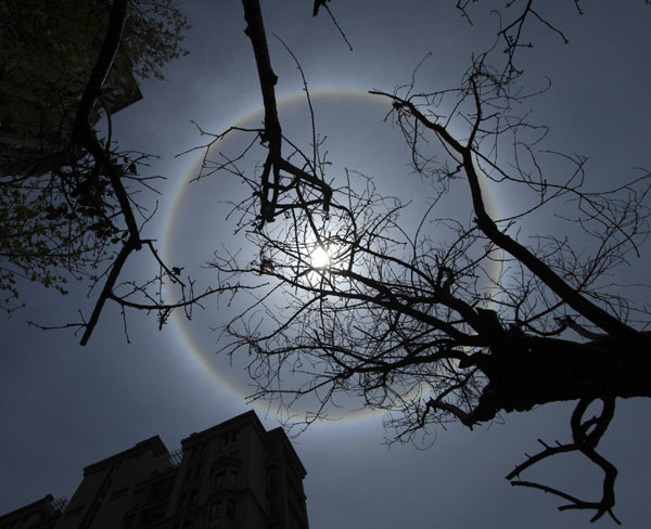 Solar halo observed in SW China