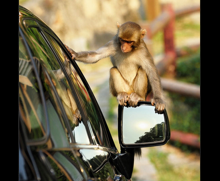 Capturing how cars changing China