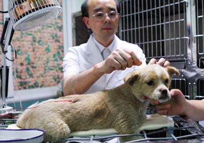 Animals benefit from pin-point accuracy