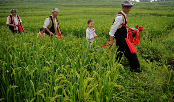 Old farmers form folk band