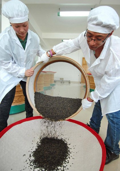 Tea park boosts cross-Straits agricultural co-op