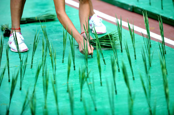 Farming Olympics shows a crop of talent