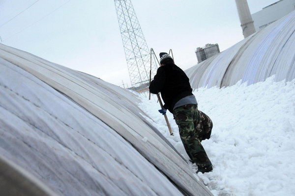 Worst snow in 50 years damages 400 greenhouses