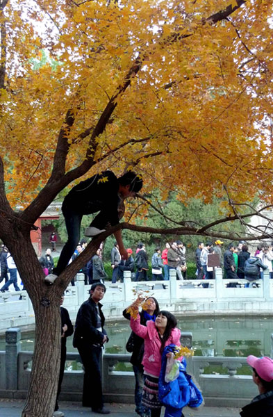 Chinese people's bad manners in public