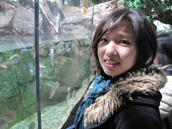 Sun Xuemei The journey home begins for millions