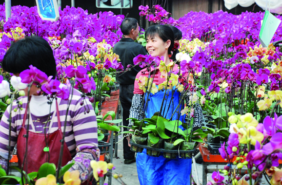 Flower power backs Zhangzhou growth