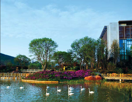 Guizhou uses balanced approach to urbanization
