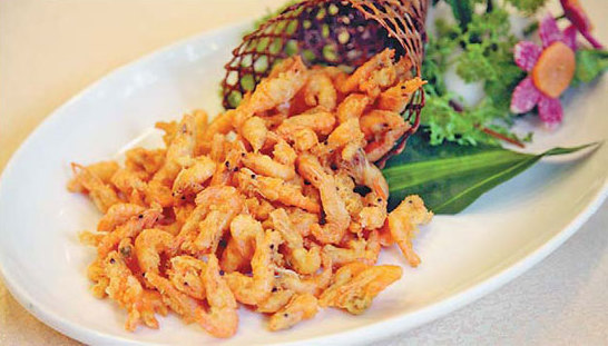 Fish swimming in beer