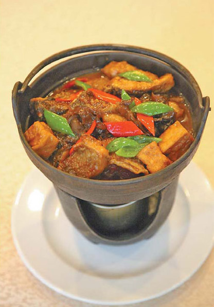 Fish swimming in beer