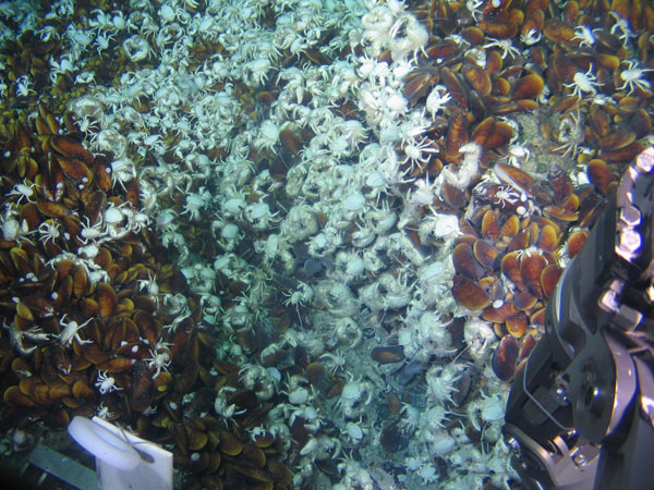 <EM>Jiaolong</EM> carries 1st scientist on deep-sea dive