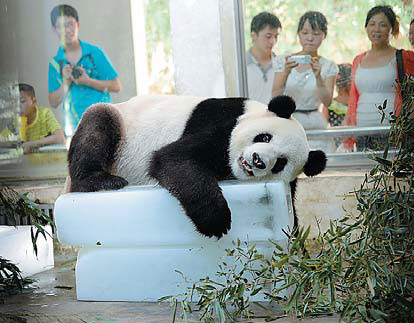 The year gone by, caught on camera