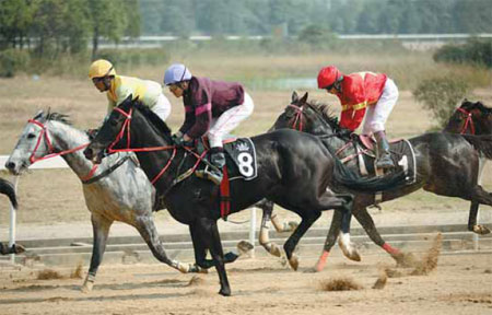 PMU gambles on nation's horse enthusiasts