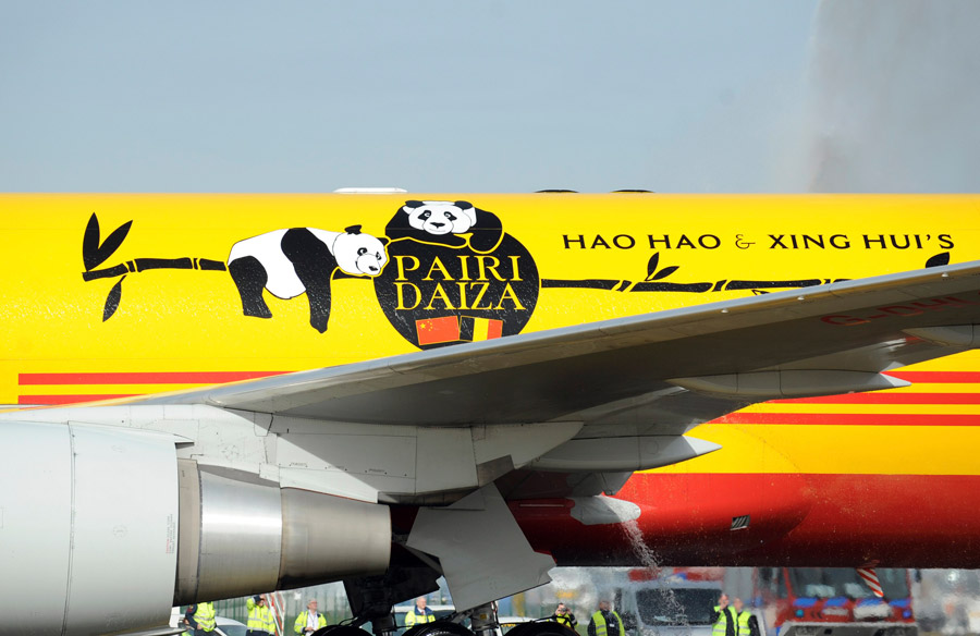 China's giant pandas arrive at Belgian zoo