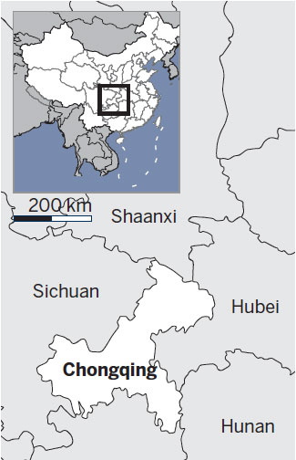 Living in the luxury of laptops