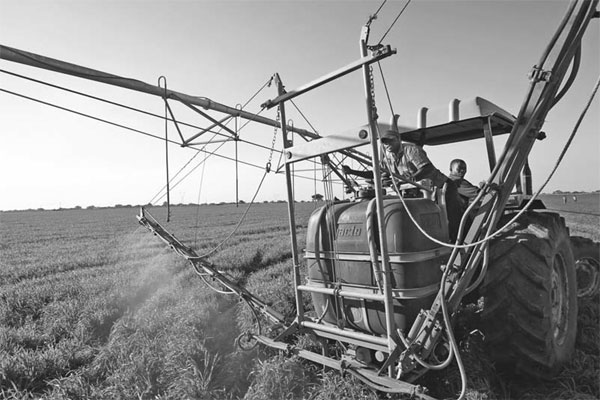 A land of rich pickings