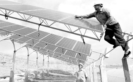 PV firms go green with solar farms