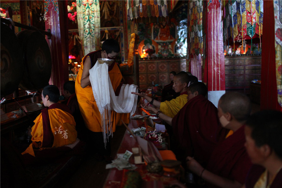 Nuns in a Tibet temple