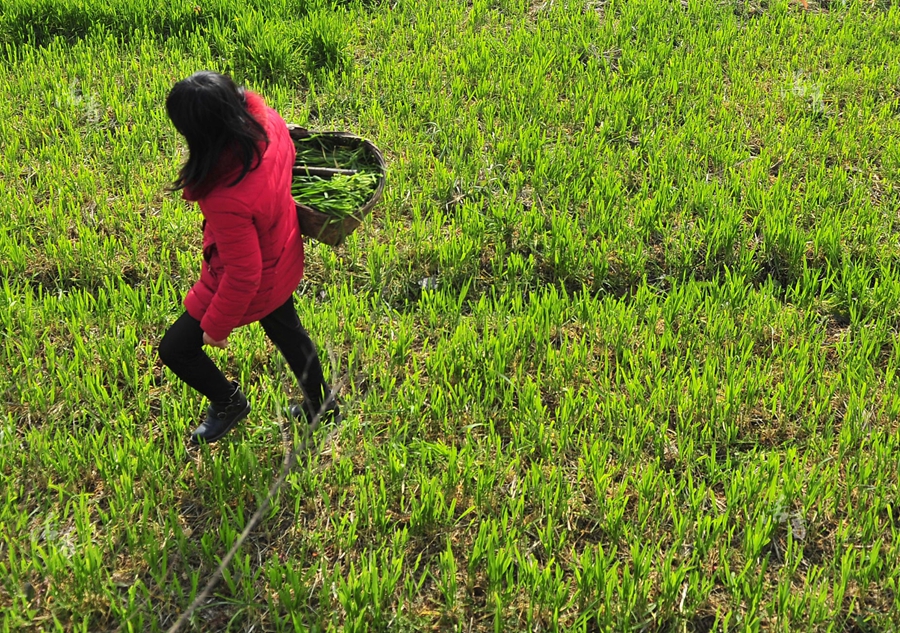 A woman, a farmer, and a poet