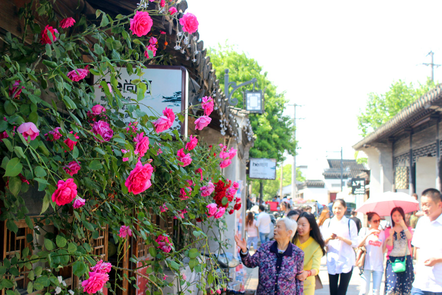 Blossoms a boon for tourism