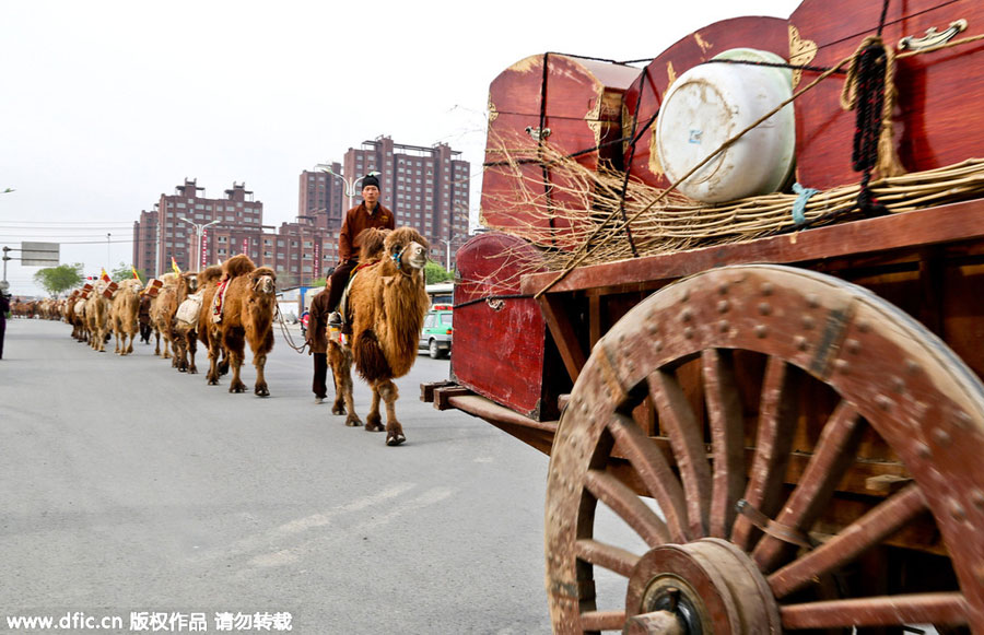 Camel caravan on the Silk Road