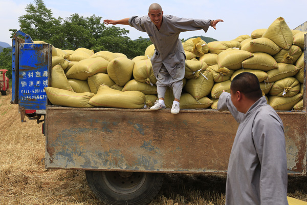 Shaolin monks harvest bumper crop