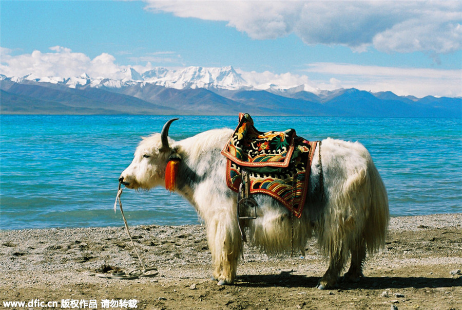 Top 10 places to visit in Tibet