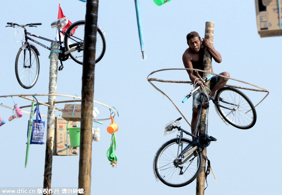Men in Indonesia climb greased poles to win prizes