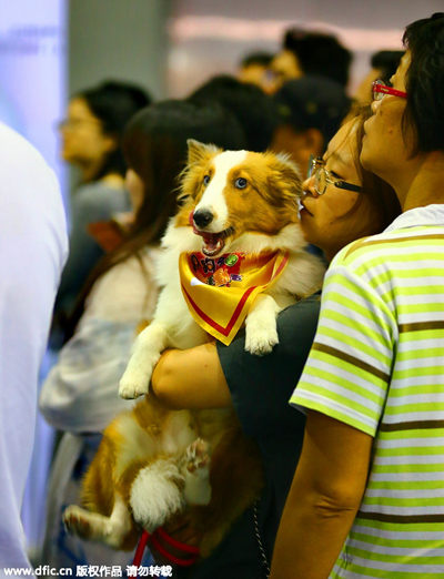 Cats and dogs of China come together at Aqua Fair Asia 2015