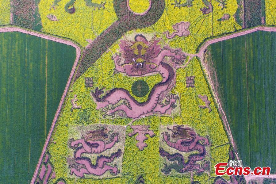 Imperial dragon robe painted with canola flowers
