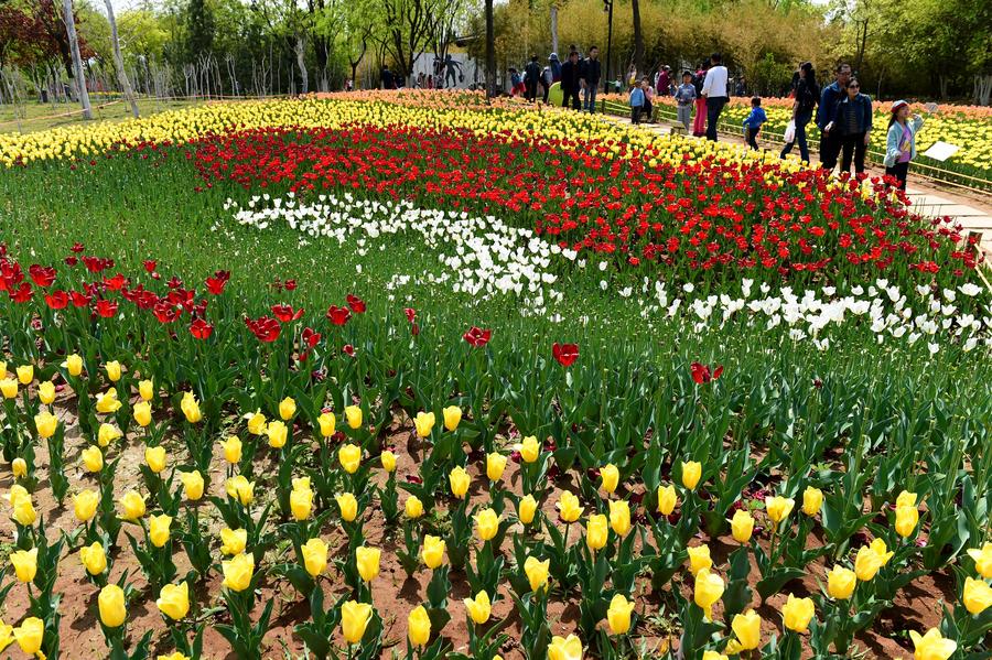 Flowers blossom in Jinan