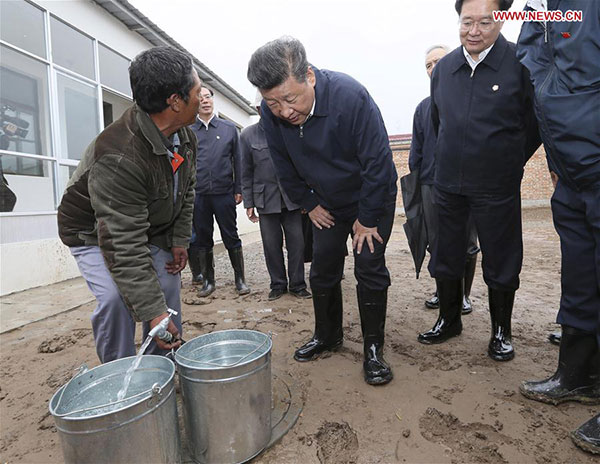 Respect, protect nature during development: Xi