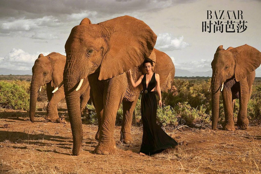 Actress Li Bingbing poses with wild animals