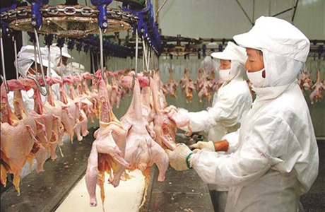 China gets WTO backing in chicken import row with US