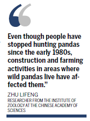 Wild training for captive pandas