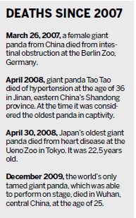 Dark month as three captive pandas die