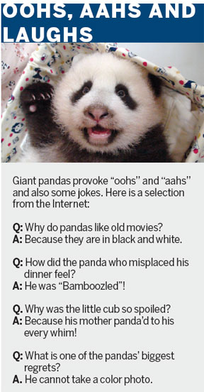 It's been a panda-ful year