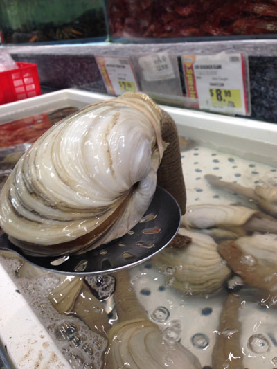 China lifts shellfish ban