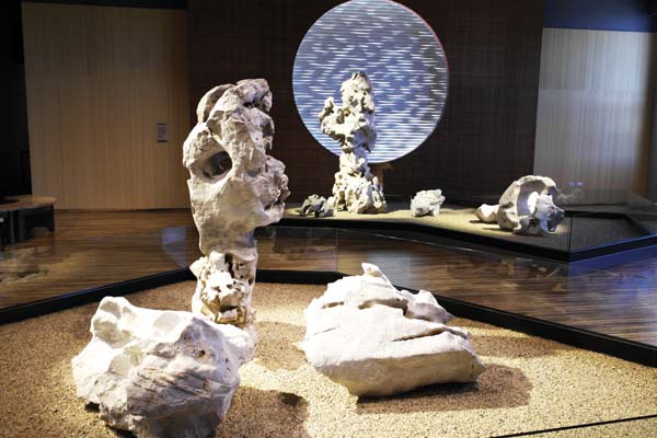 <BR>Chicago Field Museum's China exhibition opens\<BR>