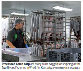 Asian carp: from problem to profit