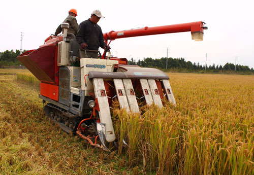 Food security to be concern in 2012