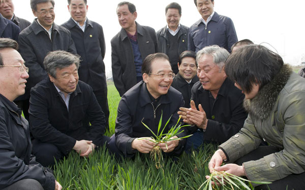 Premier Wen inspects agriculture in C China
