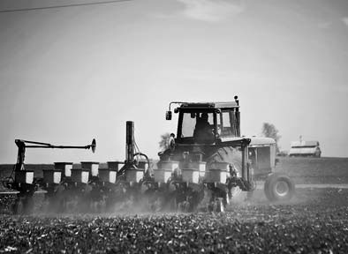 US corn price falls on planting boost; oil prices steady