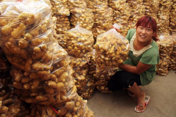 August ginger prices hit rock bottom