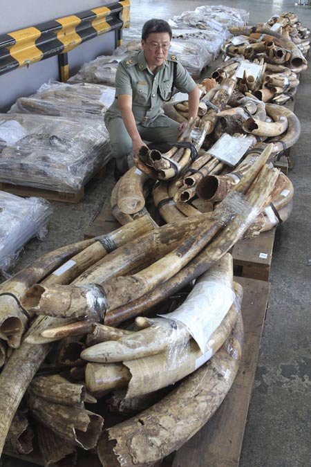 HK makes largest ivory seizure worth $3.5m
