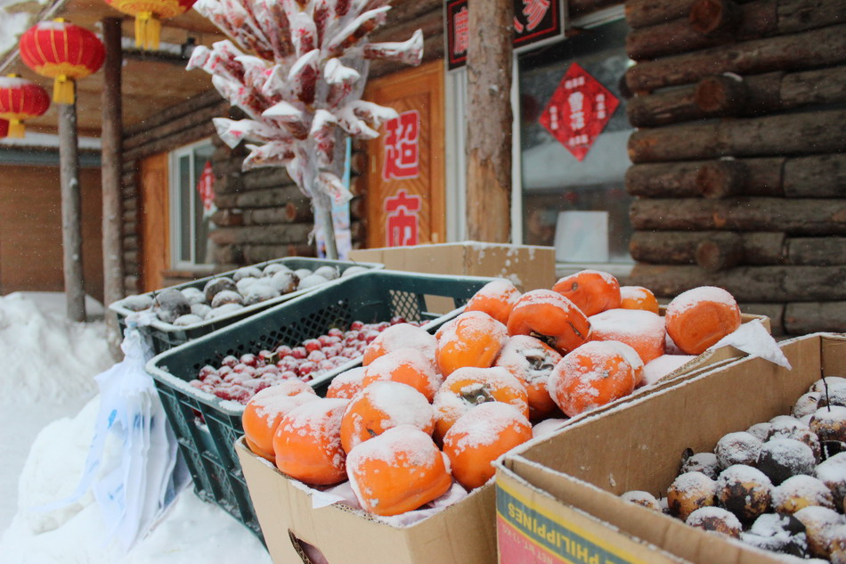 Snow tourism flourishes in China's Snow Town