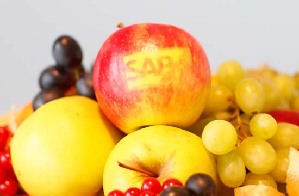 SAP identifies a fruitful market